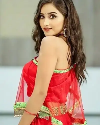 Escort In Sonegaon